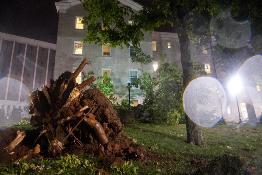 Several+large+trees+on+campus+were+uprooted+by+severe+thunderstorms+that+swept+through+Bowling+Green+Thursday+night.%0A