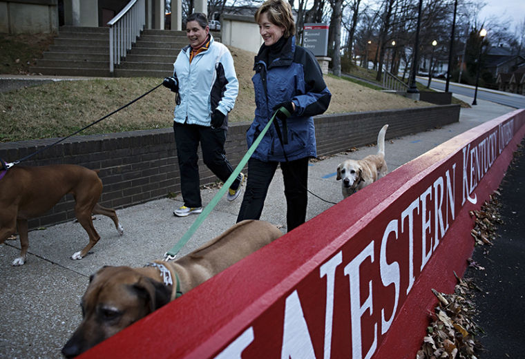 Julie Ransdell, right, walks her two dogs, Tsavo, bottom and Spirit, back right, with her friend Ann Allen of Bowling Green on Monday, Nov. 25, 2013. The pair walk have been walking their dogs around the WKU campus every morning for the past 16 years. 