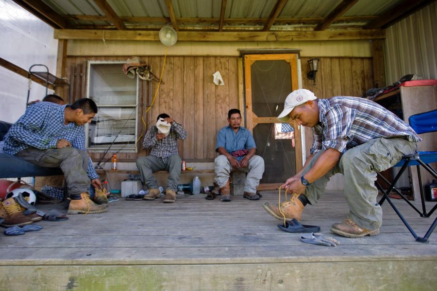Rosalino Santiago Garcia, right, ties his work boots before planting tobacco seedlings near Fountain Run, Ky. on May 12, 2014. Nick Wagner/HERALD