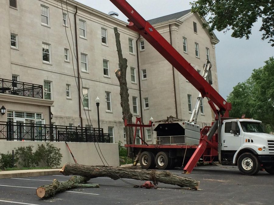 Crews have started removing some of the landscape surrounding Florence Schneider Hall in preparation for the buildings expansion. The building houses students of the Carol Martin Gatton Academy of Mathematics and Science.  The Hall could previously hold around 120 students, but is expanding that number to 200. 
