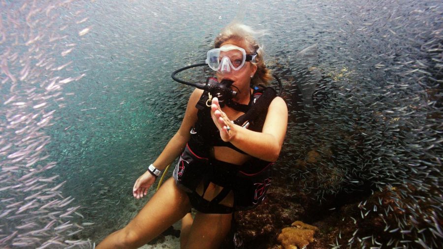 Junior Ali Boyd of Versailles spent three months in the Florida Keys this summer during a scuba diving internship with Islamorada Dive Center. Photo Submitted by Ali Boyd