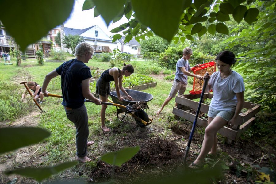 Project Grow Fellows Thomas Murphy (left), of Louisville, Mary Anne Fox of Lexington, Nate McClendon of Louisville and Sierra Morris, of Sarasota, Fla. tend to the garden behind the Office of Sustainability on Friday, Aug. 26. Ive been a Fellow for one week and I enjoy it because I get to work more in a community setting, Murphy said. The food that is grown in the garden is used by the Fresh Food Company. Ebony Cox/HERALD