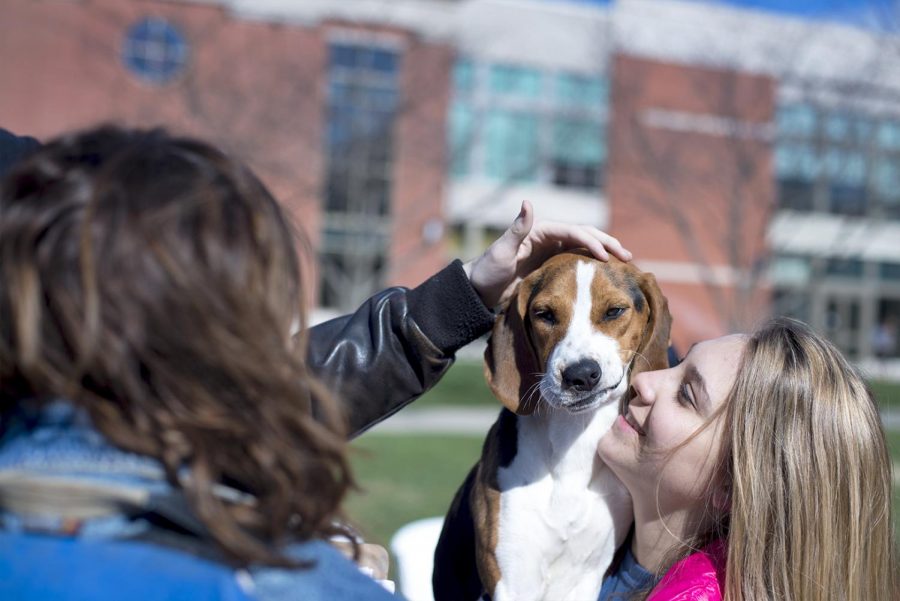 Samantha Tabor holds up a dog from the Humane Society at the Pass A Smile campaign on campus, to change the culture of mental and emotional health in America. Students were invited to pet the dogs and sign a pledge to look out for signs that someone is struggling mentally or emotionally.