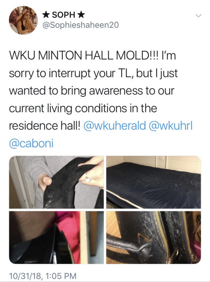WKU+moves+mold+prevention+measures+into+Minton+Hall