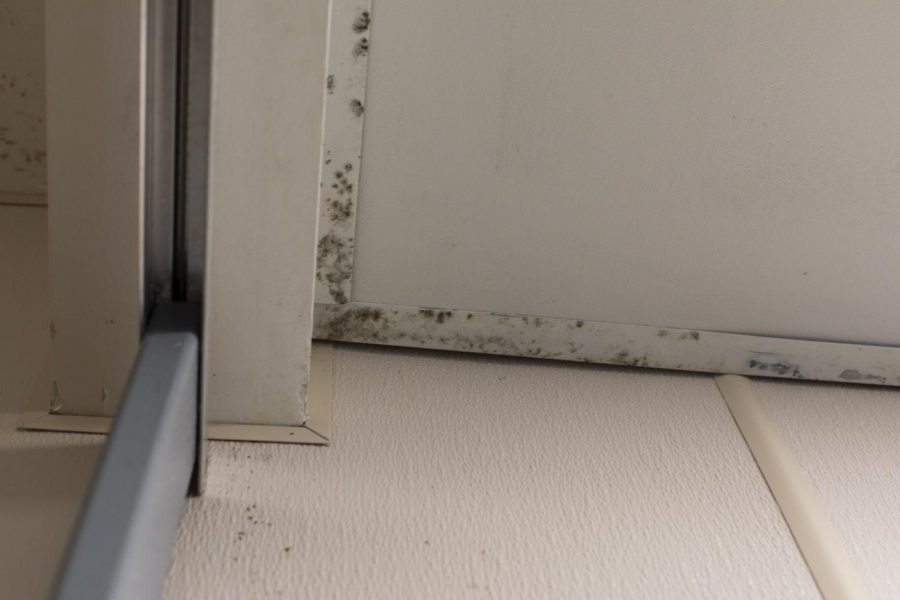 Mold and seeps through the bathrooms and vents in Rodes-Harlin Hall on Western Kentucky University’s campus on Monday afternoon, Sep. 16, 2019.