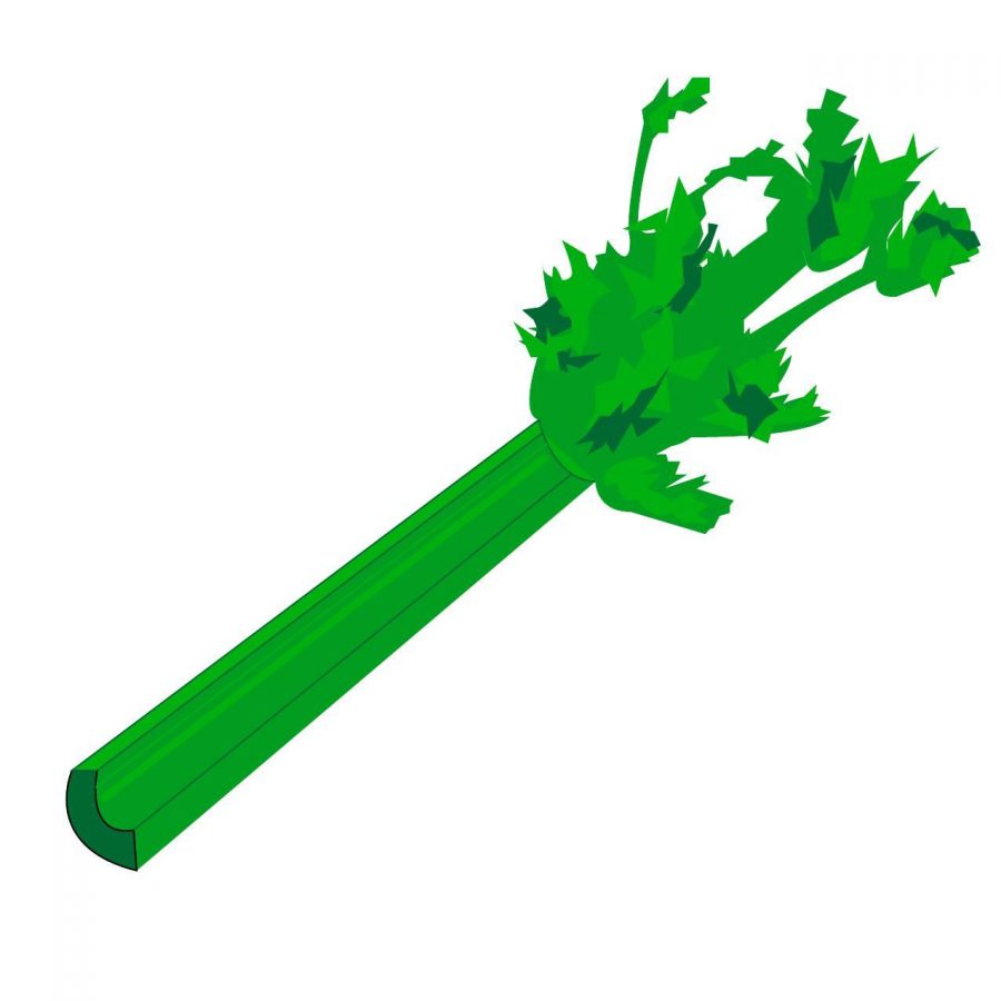Every day is a holiday: Celebrating National Celery Month