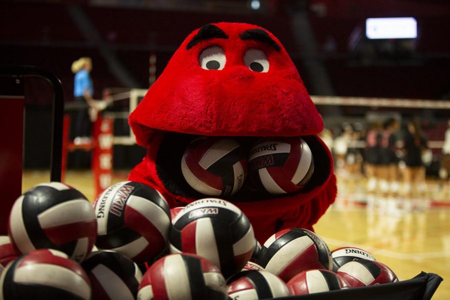 Big+Red+eats+volleyballs+in+Diddle+Arena+on+October+6%2C+2019.