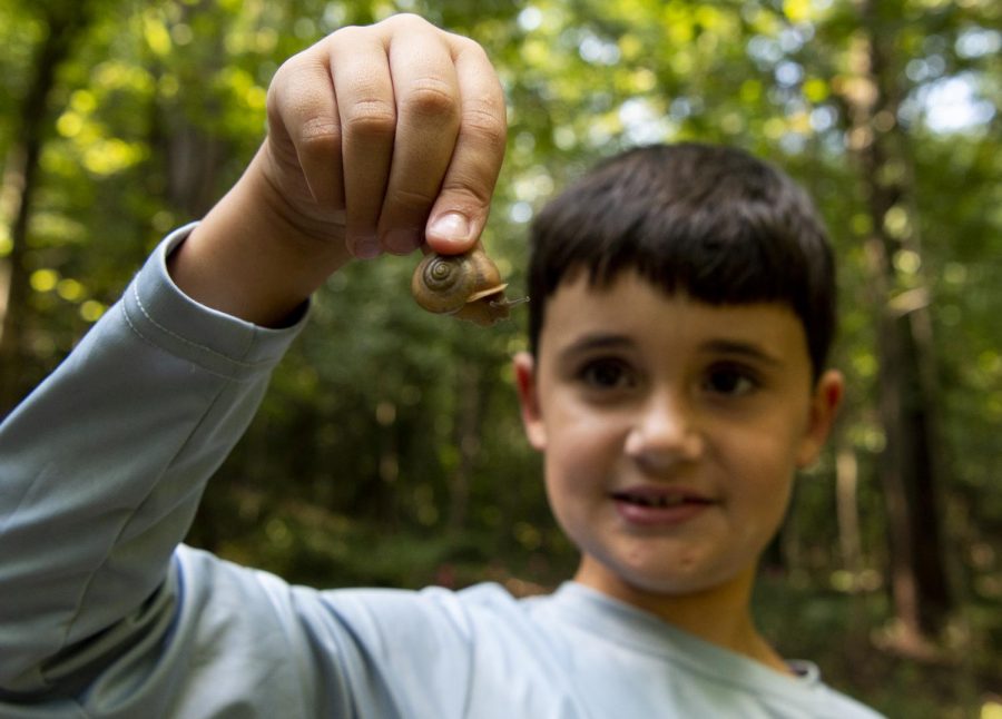 Dom Frassinelli, 7, holds a snail he found while cleaning up the nature trails at Lost River Cave on Sept. 20, 2020.