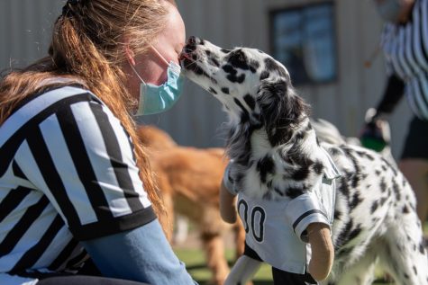 Autumn Maness, a worker at the Paw-A-Day Inn, is licked by Paislee the dalmatian during the Puppy Bowl on Feb. 5. Around 60 dogs participated in the event.
