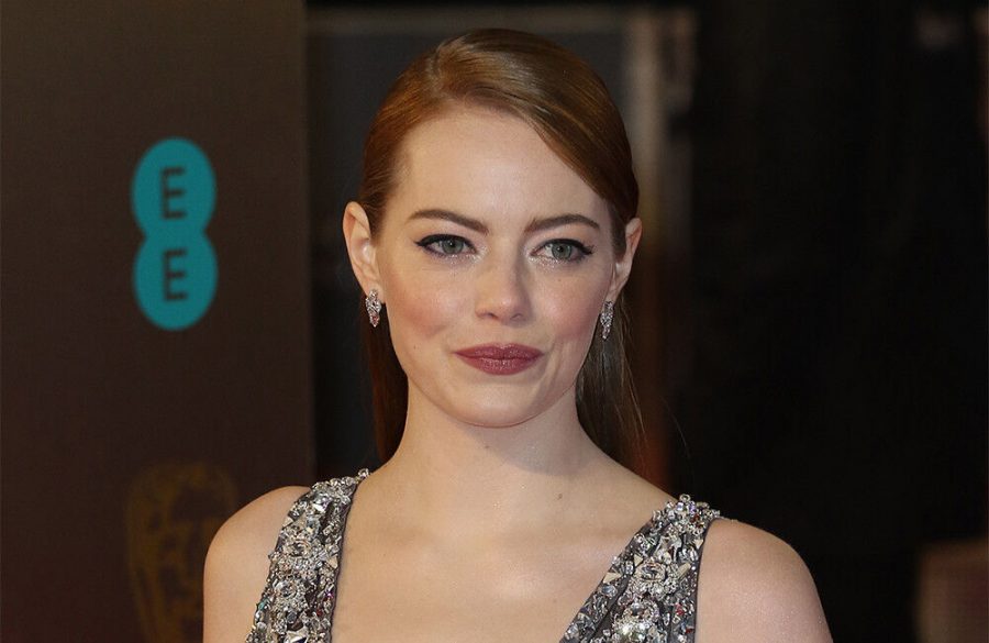 Emma Stone very excited about motherhood