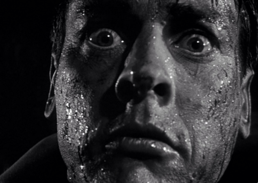 #36. Invasion of the Body Snatchers (1978)