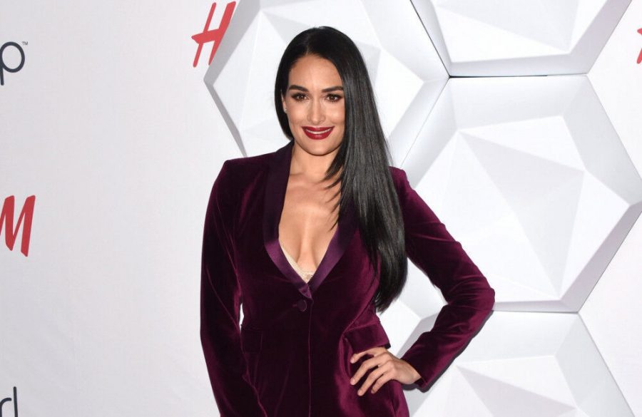 Nikki Bella silences speculation she is pregnant with baby No2