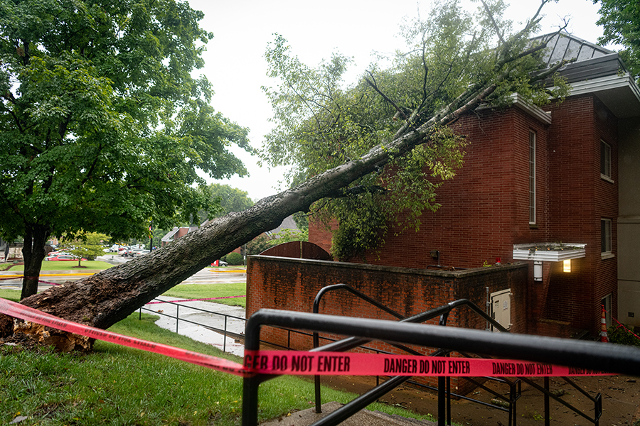 As seen on Tuesday, Aug. 31 2021, a tree lays fallen on the East side of Munday Hall.