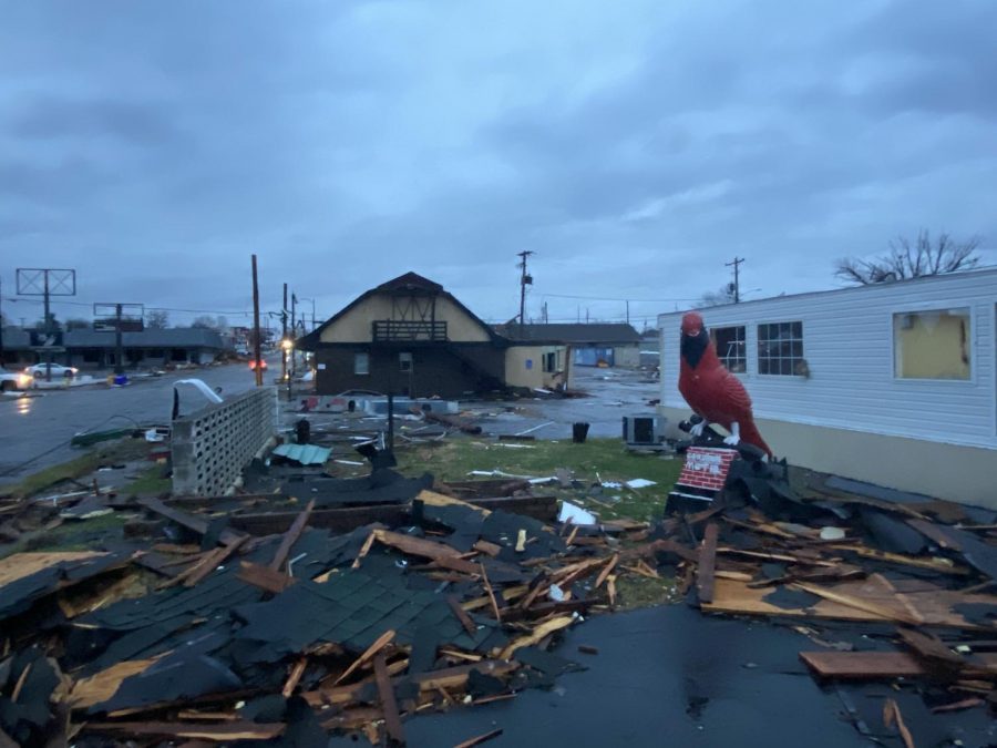 The cardinal outside of the Cardinal Motel stands watch over a swath of rubble.