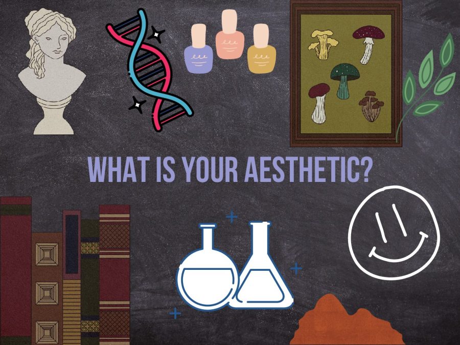 OPINION: What is your aesthetic based on your college?