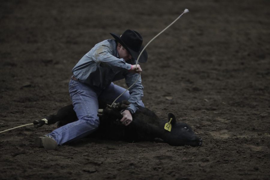 A cowboy competes in calf-roping at the Lone Star Championship Rodeo on Saturday, March 26th in Bowling Green, KY.