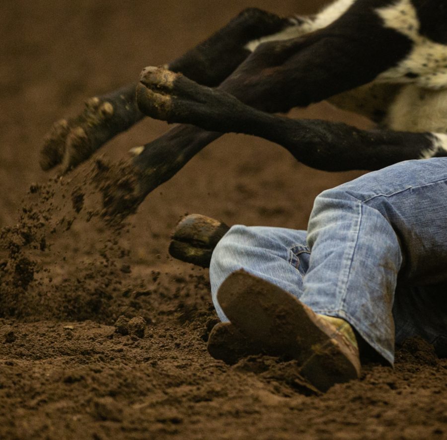 A cowboy unsuccessfully attempts to rope a calf Friday evening, March 25, 2022 at Western Kentucky University’s L.D. Brown Ag Expo Center for the 40th Annual Lone Star Rodeo.