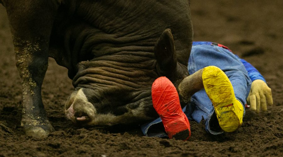 A bull gores a rodeo clown dummy Friday evening, March 25, 2022 at Western Kentucky University’s L.D. Brown Ag Expo Center for the 40th Annual Lone Star Rodeo.