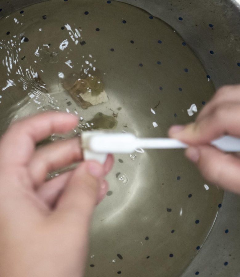 Heather Pursley, a senior a junior Anthropology major with a concentration in archeology, washed a piece of glass with a few pieces sitting in a colander at the Kentucky Archeology Survey’s wash night in Cherry Hall on Aug. 31, 2022. Allie Schallert / College Heights Herald