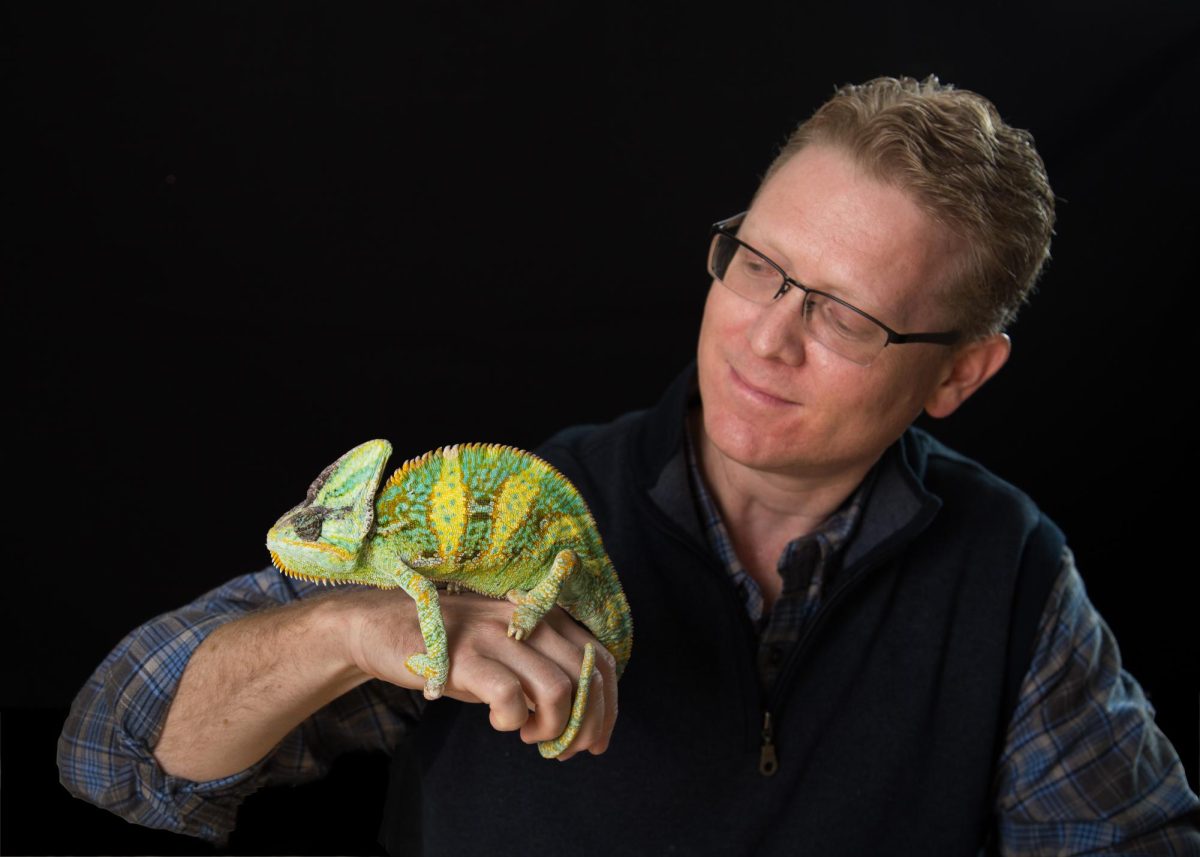 WKU+biology+professor+Michael+Smith+is+seen+holding+a+chameleon.+Smith+recently+took+part+in+a+publication+that+discovered+biotremor+communication+in+the+species.