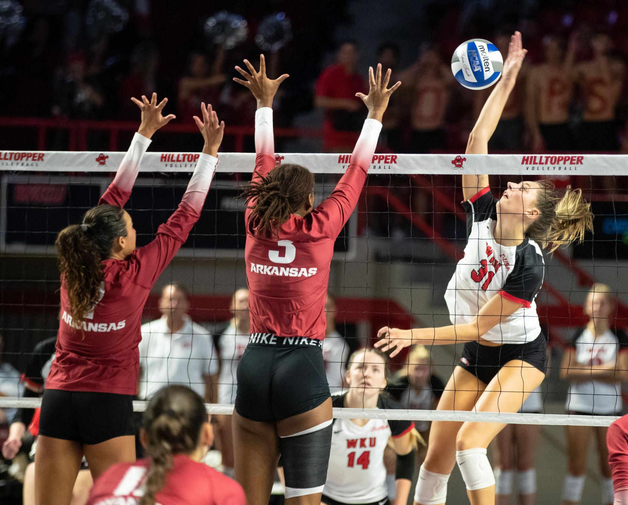 WKU Volleyball loses close battle with No. 17 Arkansas – WKUHerald.com