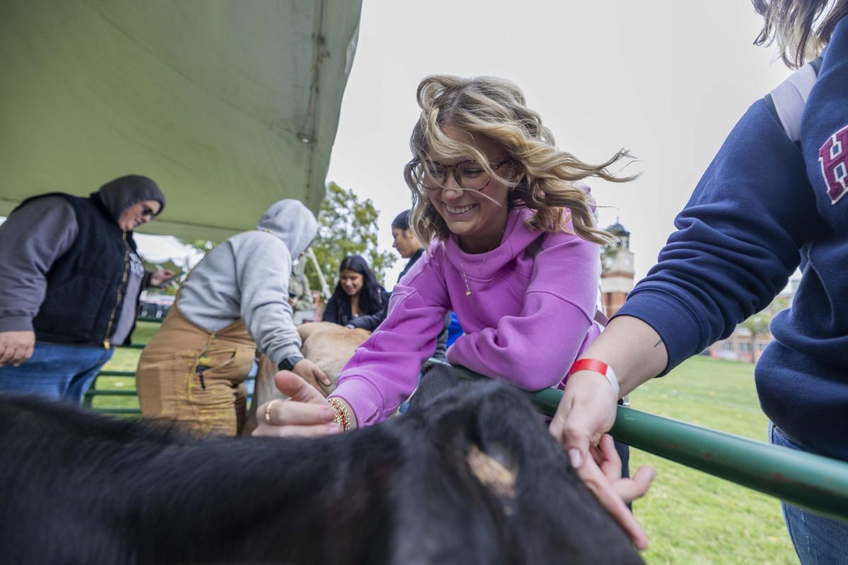 Kaitlyn Rather pets a calf during the WKU Housing and Residence life Fall on the Hill event on Tuesday, Oct. 15, 2024. 