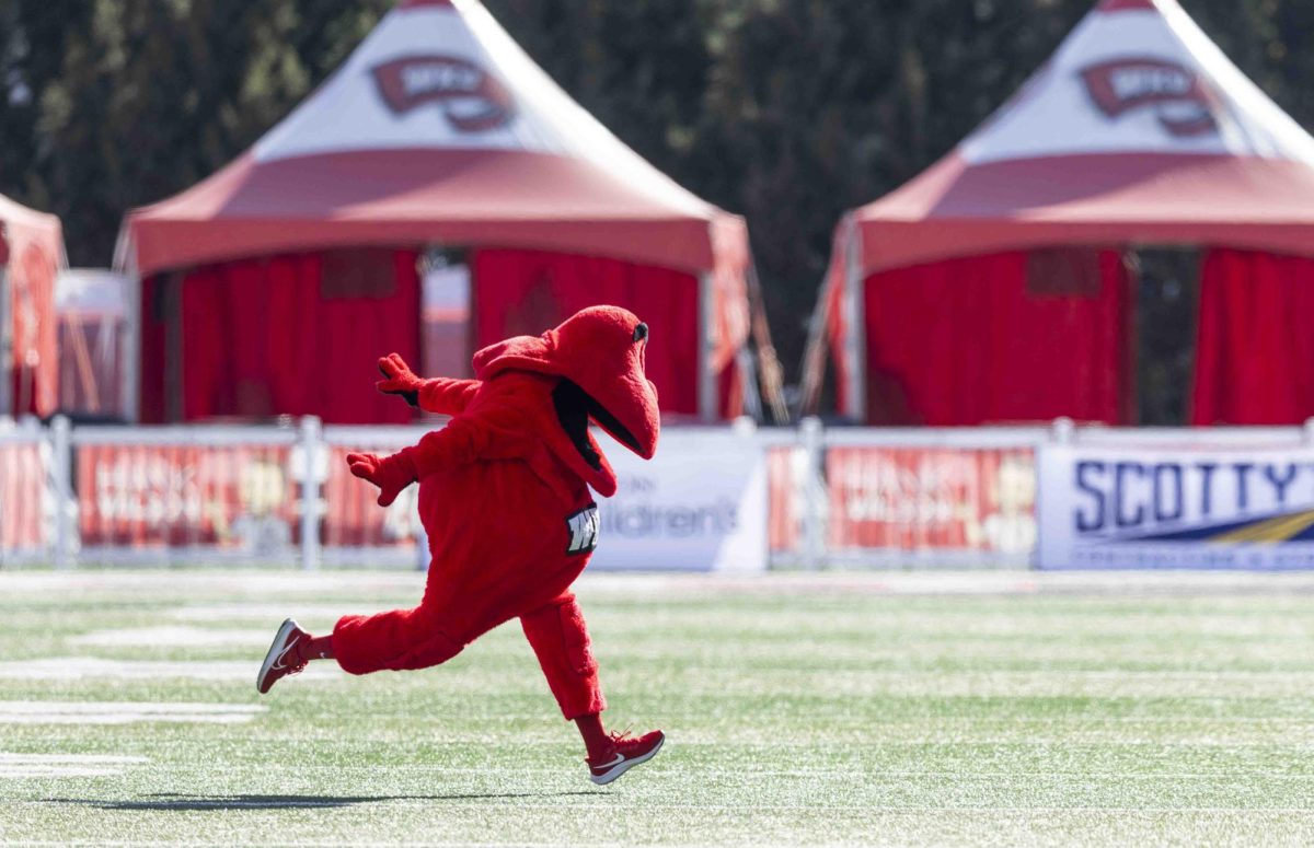 Big Red runs across the field before the Homecoming football game in the L.T. Smith Stadium on Saturday, Nov. 16, 2024. 