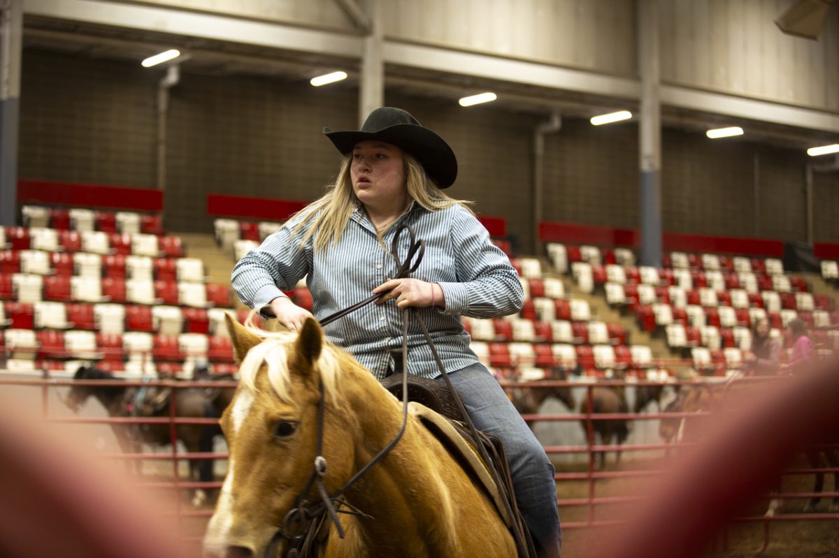 Taylor Russleburg waits for her turn at WKU’s L.D Brown Ag Expo Center during the Southern Kentucky Team Penning Association’s exhibition on March 8, 2025.