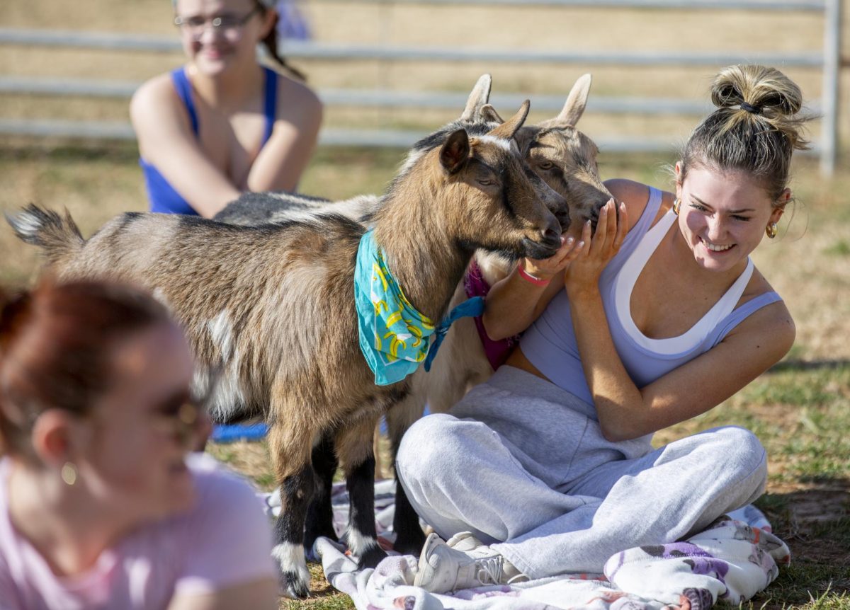 WKU sophomore Julia Ledford participates in the third annual Goat Yoga session hosted by WKU Housing & Residence Life on the First Year Village Lawn on March 10, 2025. 