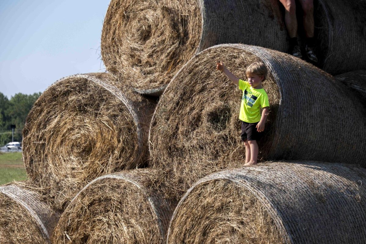 River Miller, 3, waits for his uncle at the hay bales during the annual Bowling Green Mud Run, at Phil Moore Park on Aug. 23, 2025.