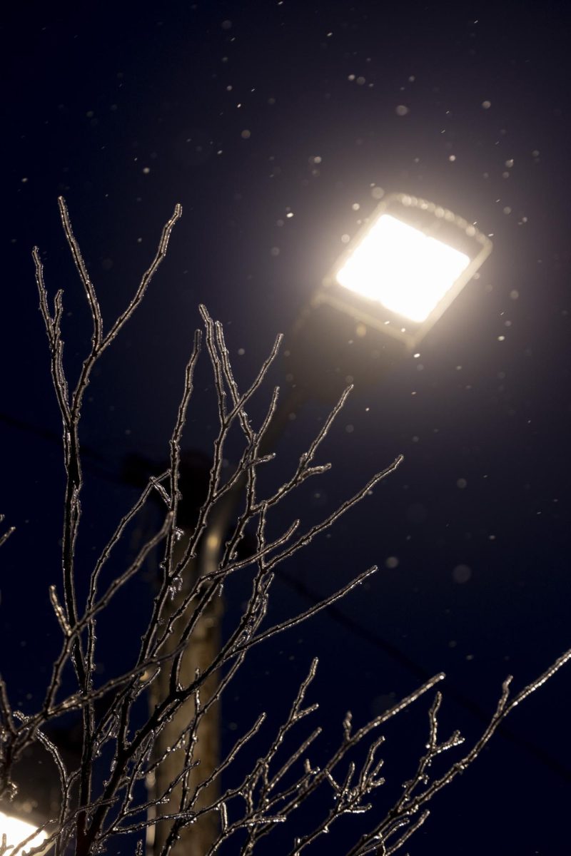 A frozen tree outside E 12th Ave. on Sunday, Jan. 25, 2026 during light snowfall. 