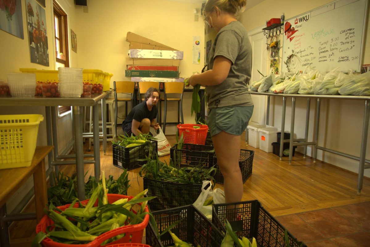 Jackson Roy and Mattalyn Johnson count the harvest of sweet corn into dozens to sell in and alongside the Community Supported Agriculture bags on July 7, 2026.